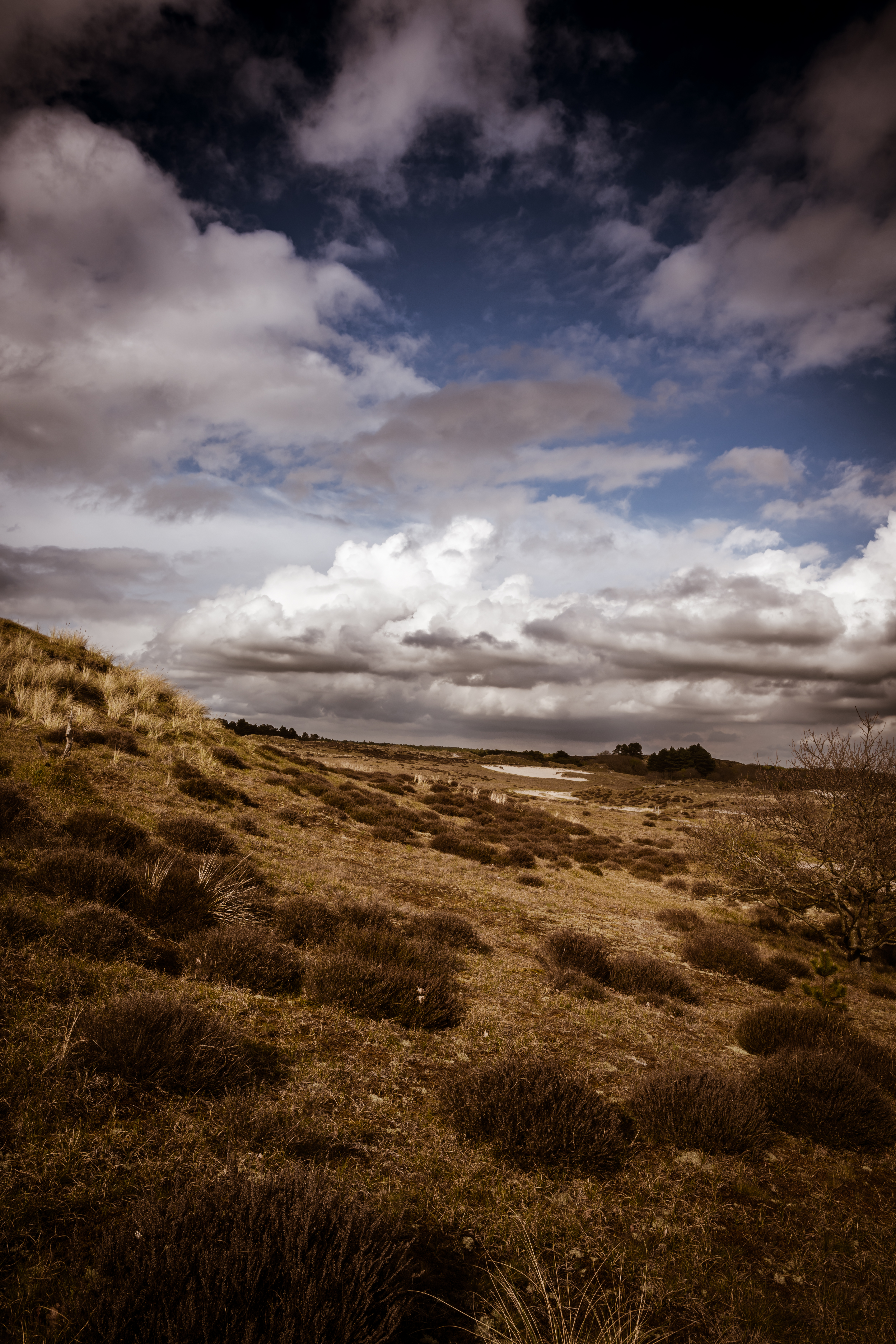 Panoramisch landschap tijdens gouden uur